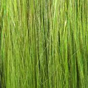 Senyo Fusion Fiber buy online Senyo Fusion Fiber